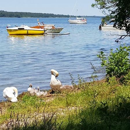 Ferienwohnung Am Schweriner See Raben Steinfeld 외부 사진