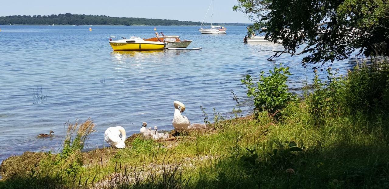 Ferienwohnung Am Schweriner See Raben Steinfeld 외부 사진